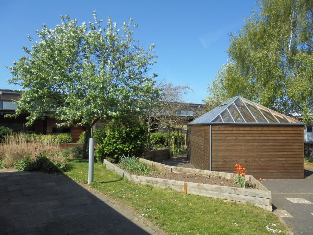 Ifield School - Sensory Room